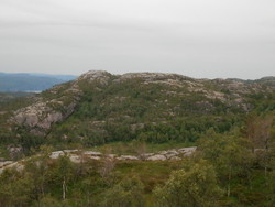 Stemhei