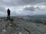 Reinsknuten aust