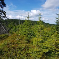 Sør for Klofjell