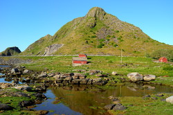 Svinkammen