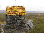 Riksrøys 161 A