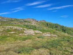 Storslætthatten
