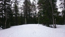 Øskjevallsbrenna