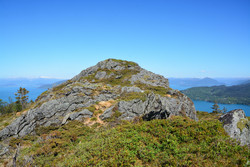 Bjørganipen