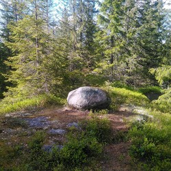 Langlia
