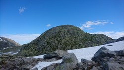 Blåhatten