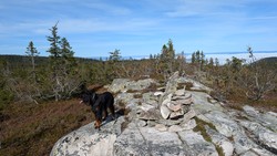 Vestre Brennberget