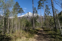 Høgsta i Syltemoa