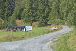 Haukom - Lier