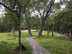 Refsnes kultursti
