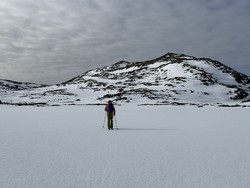 Vollaskurven sør