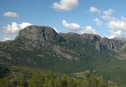 Reinsknuten