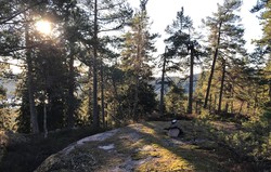 Dølerudhaugen