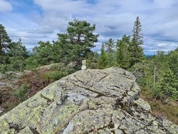 Øst for Tjurumtjern