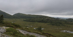 Hjortheia