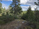 Fuglemyrhøgda