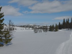 Store Skinhovda