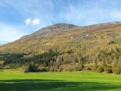 Høgefjellet