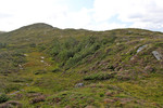 Selhaugane