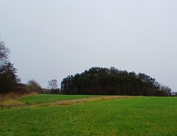 Berget