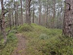 Hålihovden