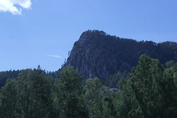 Skogsodd