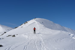 Halsbekkhøa
