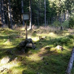 Rogstadvangen