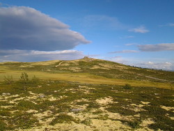 Tjørnåsen Nordvest