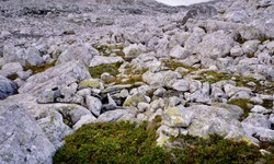 Nordmannaskaret fangstlokalitet