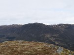 Løvollsnipa