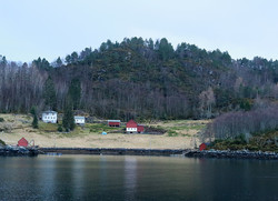 Nakken