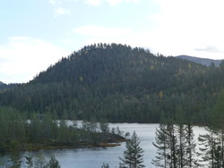 Kishov