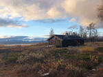 Skriurusten