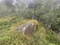 Sletteholten