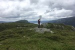 Vindeggene