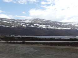 Avsjøhøe
