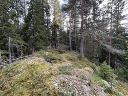 Arnlihøgda