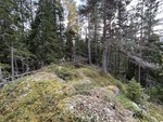 Arnlihøgda