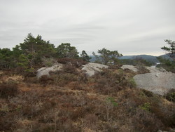 Austneset
