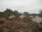 Austneset