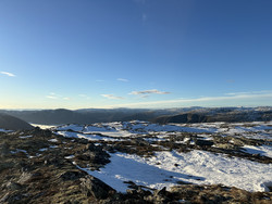 Åsenosi