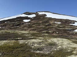 Båttjønnhøgda