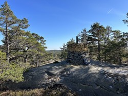 Riksrøys D