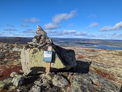 Vaggehovda