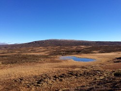 Gjårdvola