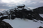 Børa