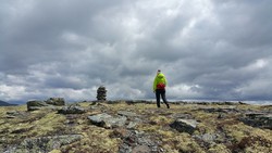 Høgvarden