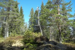 Slåtteberget