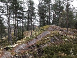 Kiilahännänkallio